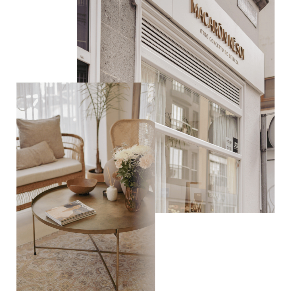 loca las palmas macaron nesoi